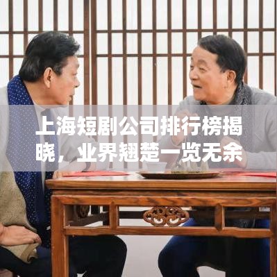 上海短劇公司排行榜揭曉，業(yè)界翹楚一覽無余！