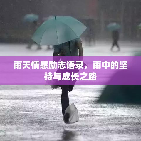 雨天情感勵志語錄，雨中的堅持與成長之路