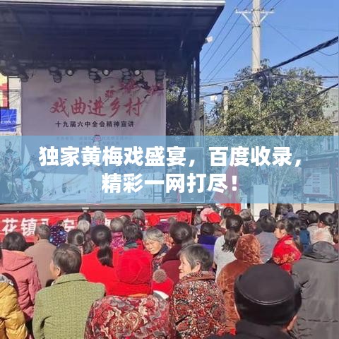 獨(dú)家黃梅戲盛宴，百度收錄，精彩一網(wǎng)打盡！