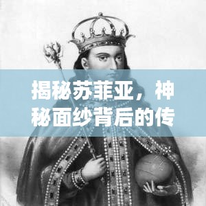 揭秘蘇菲亞，神秘面紗背后的傳奇故事探尋