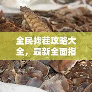 全民找茬攻略大全，最新全面指南，助你輕松通關(guān)！