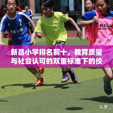 新昌小學(xué)排名前十，教育質(zhì)量與社會認(rèn)可的雙重標(biāo)準(zhǔn)下的佼佼者