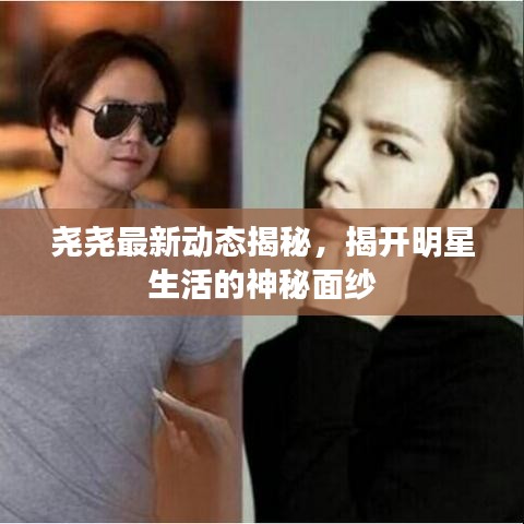 堯堯最新動(dòng)態(tài)揭秘，揭開明星生活的神秘面紗