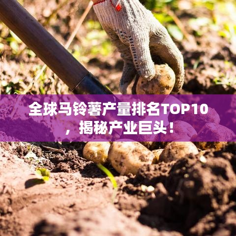 全球馬鈴薯產(chǎn)量排名TOP10，揭秘產(chǎn)業(yè)巨頭！