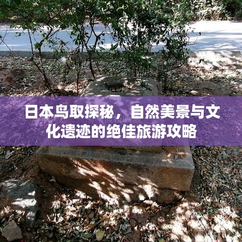 日本鳥取探秘，自然美景與文化遺跡的絕佳旅游攻略