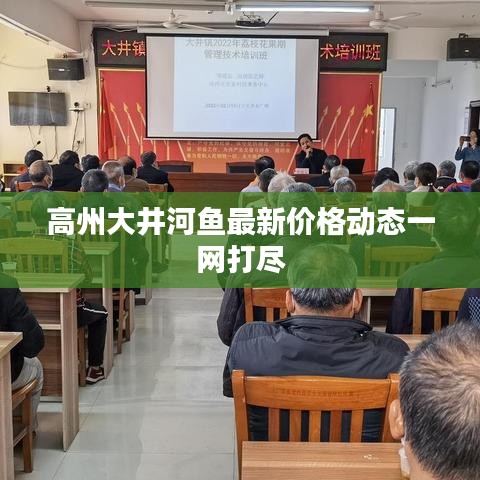 高州大井河魚最新價格動態(tài)一網(wǎng)打盡