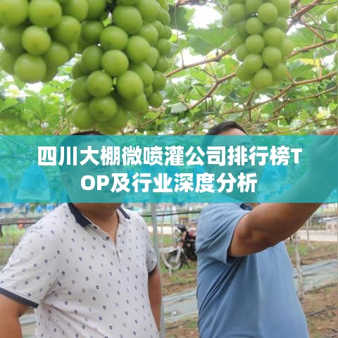 四川大棚微噴灌公司排行榜TOP及行業(yè)深度分析