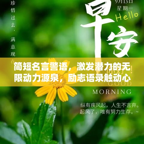 簡短名言警語，激發(fā)潛力的無限動力源泉，勵志語錄觸動心靈！