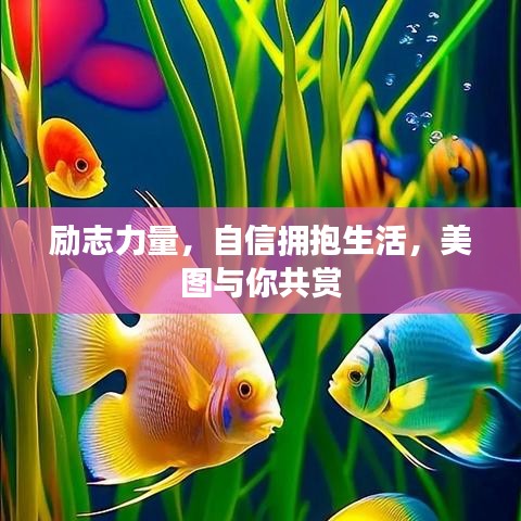 勵志力量，自信擁抱生活，美圖與你共賞