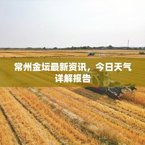 常州金壇最新資訊，今日天氣詳解報告