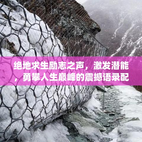 絕地求生勵志之聲，激發(fā)潛能，勇攀人生巔峰的震撼語錄配音！