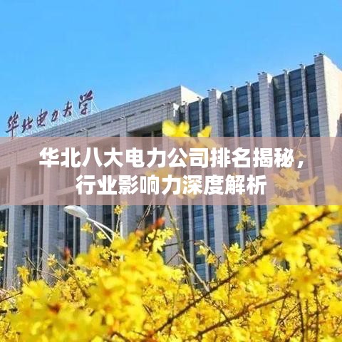 華北八大電力公司排名揭秘，行業(yè)影響力深度解析