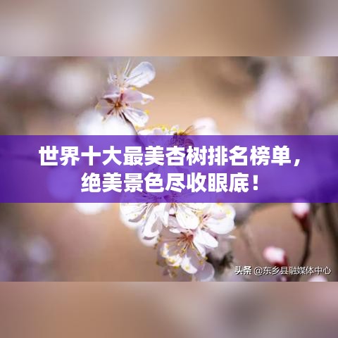 世界十大最美杏樹排名榜單，絕美景色盡收眼底！