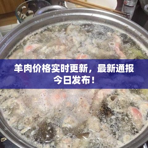 羊肉價格實時更新，最新通報今日發(fā)布！