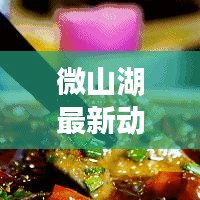 微山湖最新動態(tài)揭秘，官方權(quán)威發(fā)布，掌握最新消息！