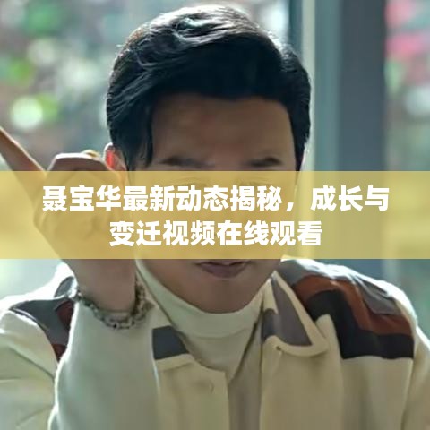 聶寶華最新動態(tài)揭秘，成長與變遷視頻在線觀看