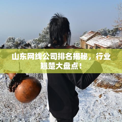 山東網(wǎng)線公司排名揭秘，行業(yè)翹楚大盤點(diǎn)！