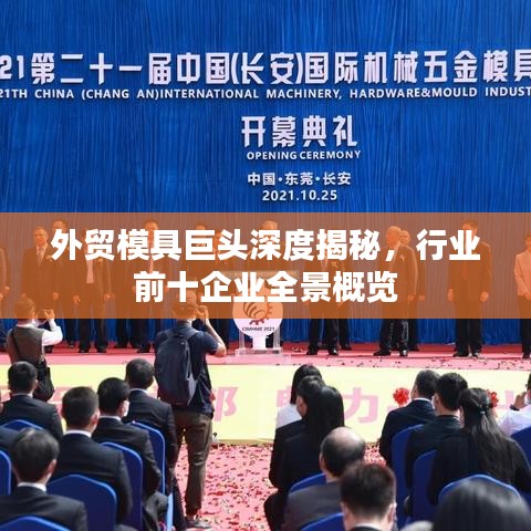外貿(mào)模具巨頭深度揭秘，行業(yè)前十企業(yè)全景概覽