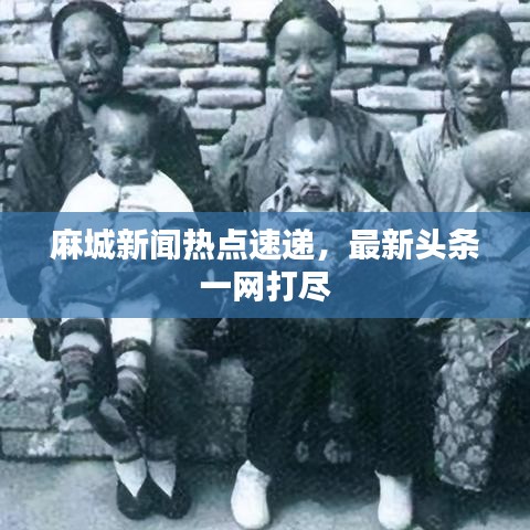 麻城新聞熱點速遞，最新頭條一網(wǎng)打盡