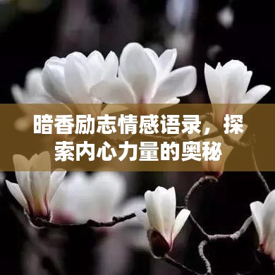 暗香勵志情感語錄，探索內(nèi)心力量的奧秘