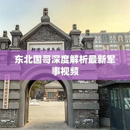 東北國哥深度解析最新軍事視頻