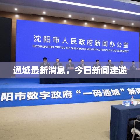 通城最新消息，今日新聞速遞