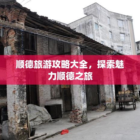 順德旅游攻略大全，探索魅力順德之旅