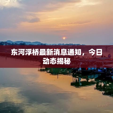 東河浮橋最新消息通知，今日動態(tài)揭秘