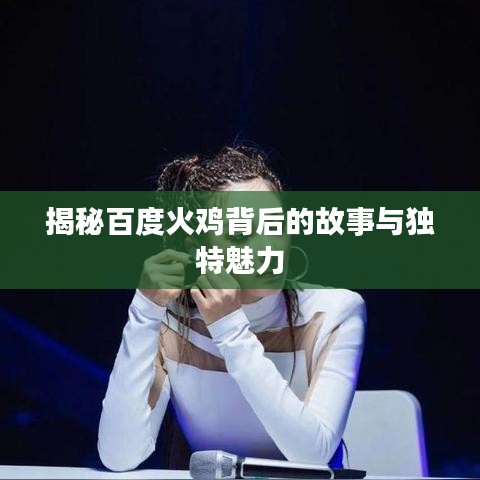 揭秘百度火雞背后的故事與獨(dú)特魅力