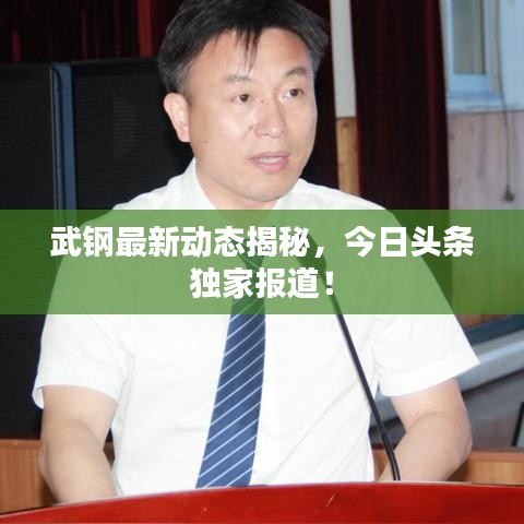 武鋼最新動(dòng)態(tài)揭秘，今日頭條獨(dú)家報(bào)道！