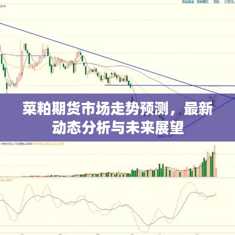 菜粕期貨市場走勢預(yù)測，最新動態(tài)分析與未來展望
