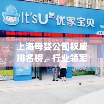 上海母嬰公司權(quán)威排名榜，行業(yè)領(lǐng)軍者解讀！