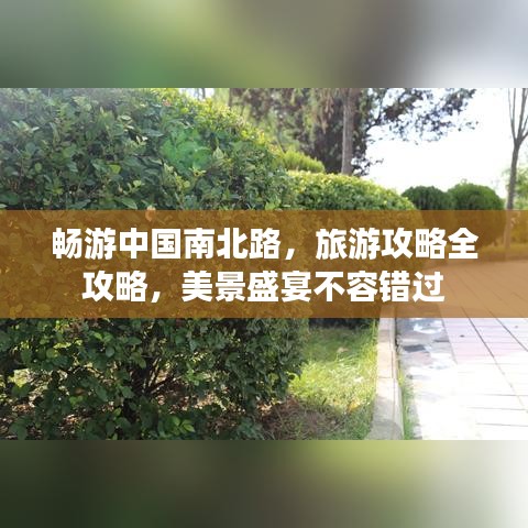 暢游中國南北路，旅游攻略全攻略，美景盛宴不容錯(cuò)過