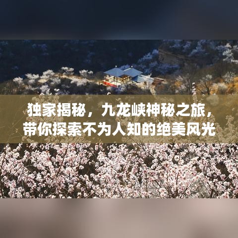 獨(dú)家揭秘，九龍峽神秘之旅，帶你探索不為人知的絕美風(fēng)光！