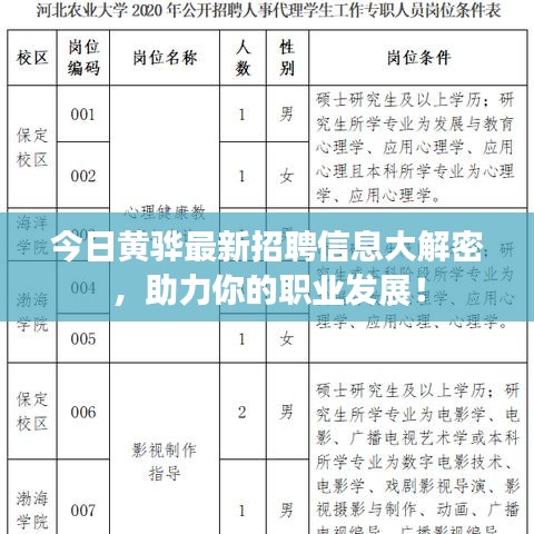 今日黃驊最新招聘信息大解密，助力你的職業(yè)發(fā)展！