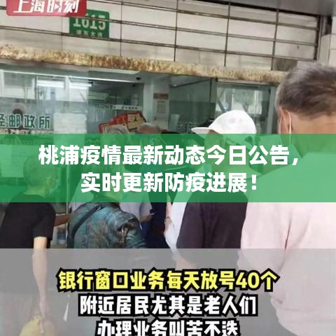桃浦疫情最新動(dòng)態(tài)今日公告，實(shí)時(shí)更新防疫進(jìn)展！