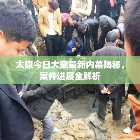 太康今日大案最新內幕揭秘，案件進展全解析