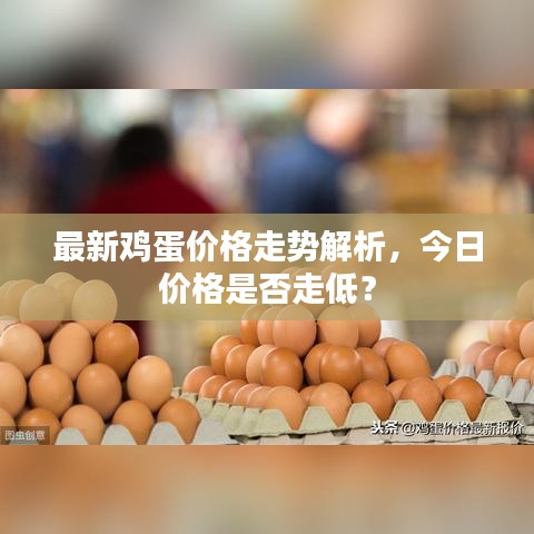 最新雞蛋價(jià)格走勢(shì)解析，今日價(jià)格是否走低？