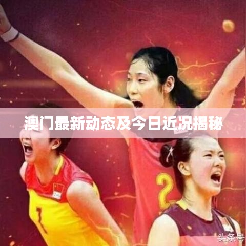 澳門最新動態(tài)及今日近況揭秘