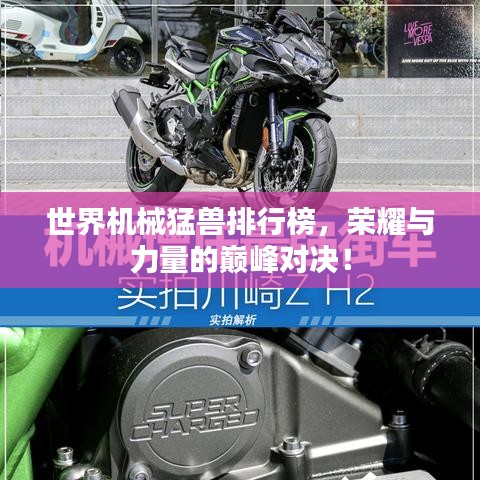 世界機械猛獸排行榜，榮耀與力量的巔峰對決！