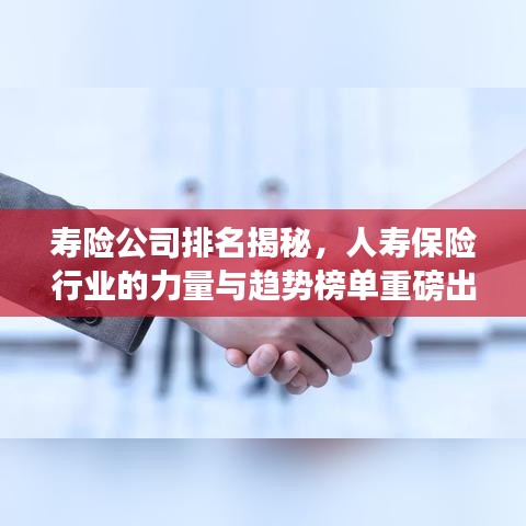 壽險(xiǎn)公司排名揭秘，人壽保險(xiǎn)行業(yè)的力量與趨勢(shì)榜單重磅出爐！