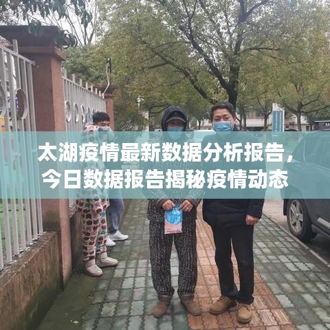 太湖疫情最新數(shù)據(jù)分析報(bào)告，今日數(shù)據(jù)報(bào)告揭秘疫情動(dòng)態(tài)