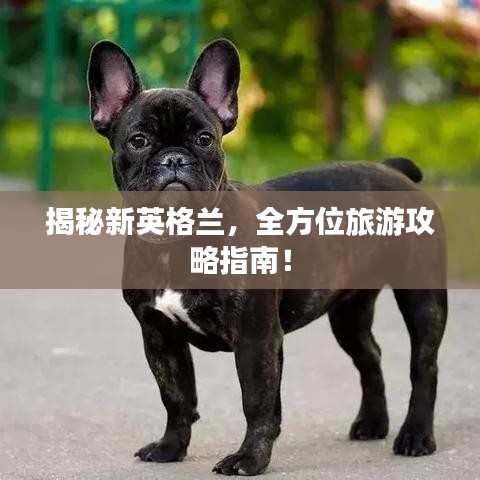 揭秘新英格蘭，全方位旅游攻略指南！