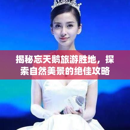揭秘忘天鵝旅游勝地，探索自然美景的絕佳攻略