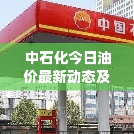 中石化今日油價(jià)最新動(dòng)態(tài)及市場(chǎng)走勢(shì)與影響因素深度解析