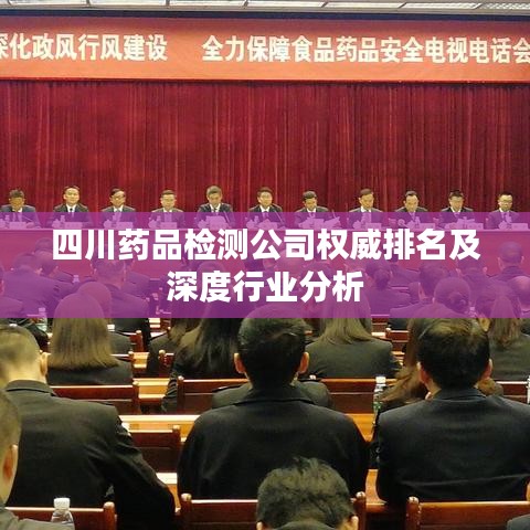 四川藥品檢測公司權(quán)威排名及深度行業(yè)分析