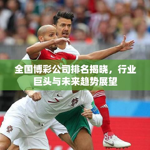 全國(guó)博彩公司排名揭曉，行業(yè)巨頭與未來趨勢(shì)展望