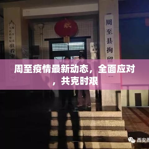 周至疫情最新動(dòng)態(tài)，全面應(yīng)對(duì)，共克時(shí)艱