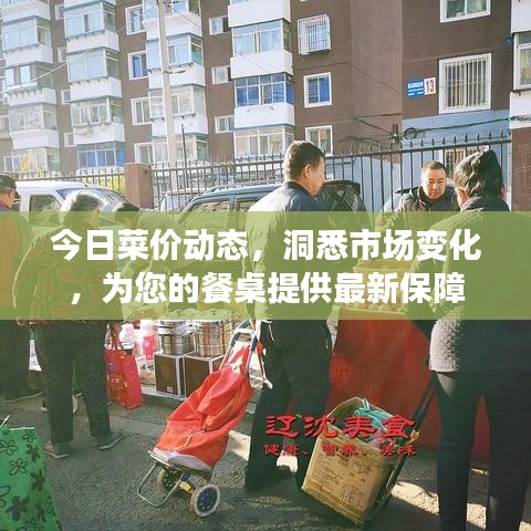 今日菜價動態(tài)，洞悉市場變化，為您的餐桌提供最新保障