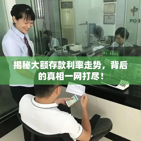 揭秘大額存款利率走勢，背后的真相一網(wǎng)打盡！